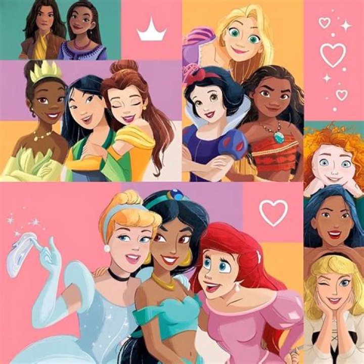 Disney Princesses (Source: Reddit)
