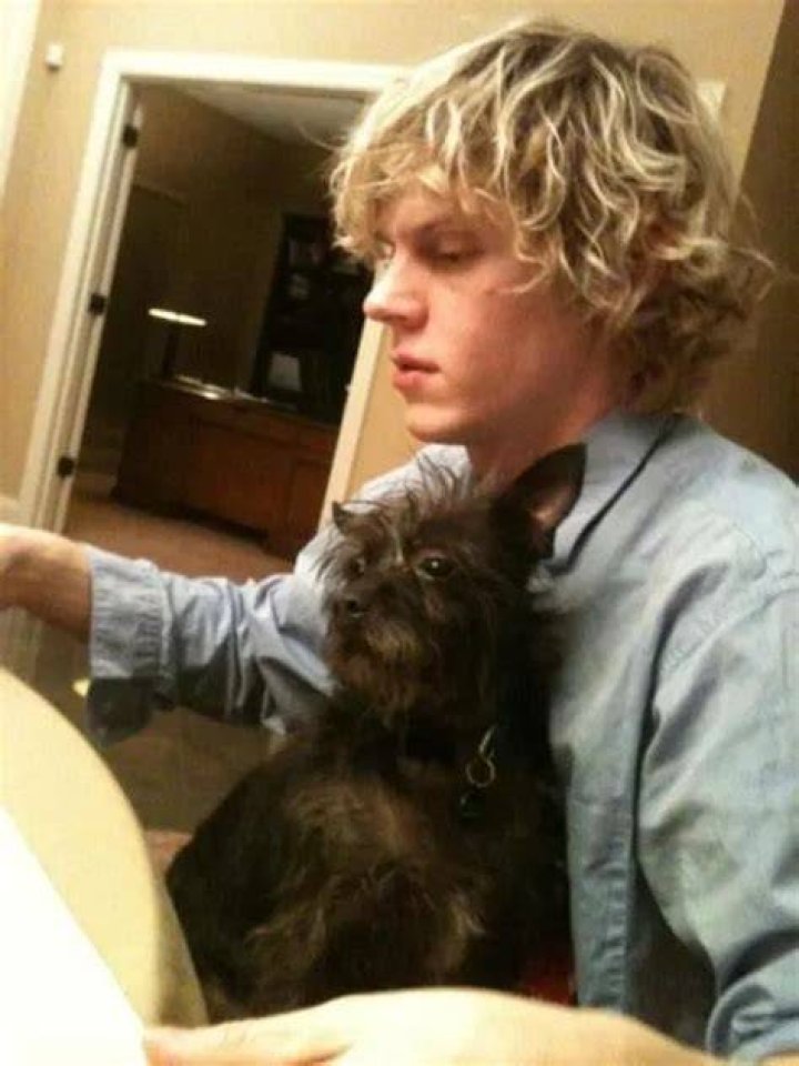 Evan Peters Pets
